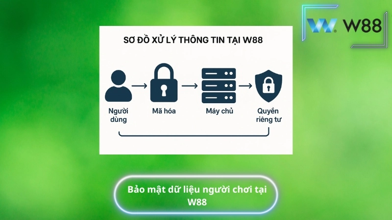 Bảo mật dữ liệu người chơi tại W88 với sơ đồ mã hóa đa tầng