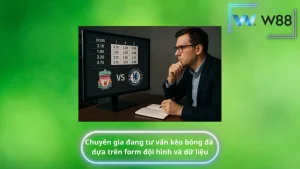 Chuyên gia đang tư vấn kèo bóng đá dựa trên form đội hình và dữ liệu